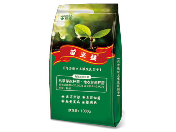 苗堅強